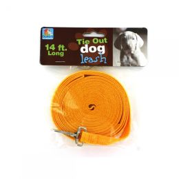 Dog Tie-out Leash DI069