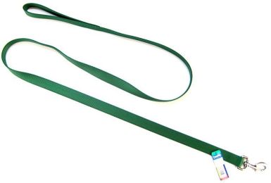 Coastal Pet Single Nylon Lead - Hunter Green (size: 6' Long x 1" Wide)