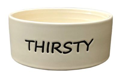 Spot Thirsty Dog Dish Water Bowl (size: 1 count 5" wide)